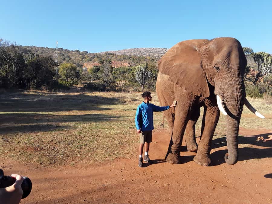 The Elephant and Monkey Sanctuary. - Value and price: what $68 covers, and what to budget extra
