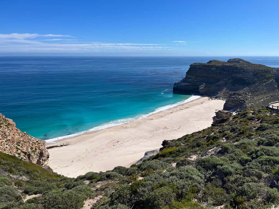 The Ultimate Cape of Good Hope Experience - Price and value: $310 per person, what you’re paying for
