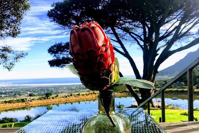 Three Day Private tour: Table Mountain, City, Cape Peninsula and Winelands - Cape Point Nature Reserve: Lighthouses, Storm Stories, and the Funicular Fee
