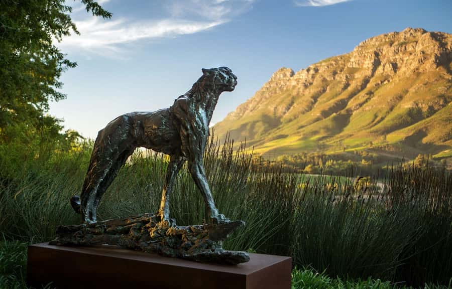 Tour the Winelands: Stellenbosch to Franschhoek - Key Highlights You Can Count On