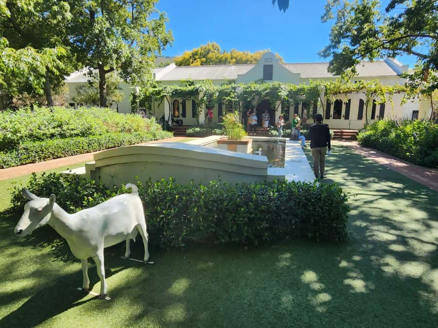Tour the Winelands: Stellenbosch to Franschhoek - Tokara Wine Estate: Learning the Winemaking Techniques, Not Just Drinking
