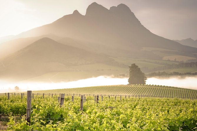 Vine Hopper: Hop-On Hop-Off Wine Tour - Northern Route - Vine Hopper Northern Route: Key Things to Know First