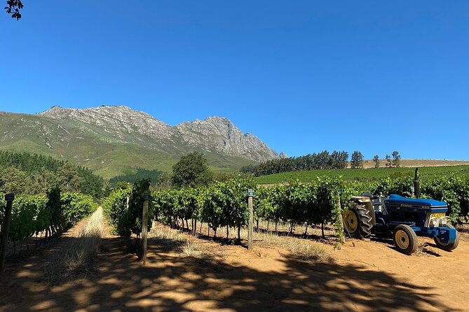 Vine Hopper: Hop-On Hop-Off Wine Tour - Northern Route - Timing That Works: How Long You Can Taste on an 8-Hour Day