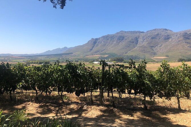 Vine Hopper: Hop-On Hop-Off Wine Tour - Northern Route - How to Build Your Perfect Day (A Simple Strategy)