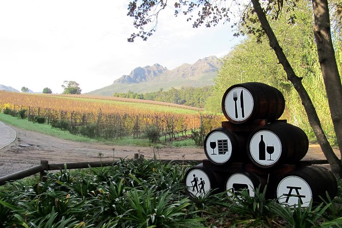 Vine Hopper: Hop-On Hop-Off Wine Tour - Southern Route - Your six stops on the Southern Route, and how to use the hop-on timing