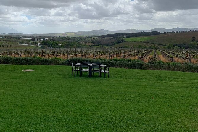 Vine Hopper: Hop-On Hop-Off Wine Tour - Southern Route - Getting picked up in Central Stellenbosch, or meeting at Church Street