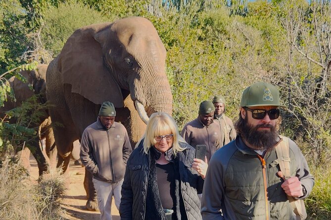 Walk with Elephants Experience plus Monkey Forest Walk - Mobility, Fitness, and the One Big Safety Consideration