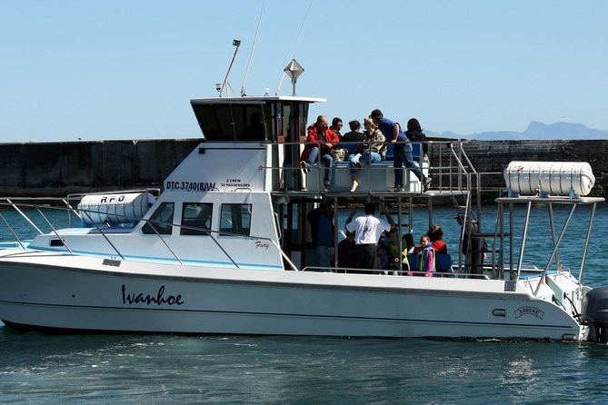 Whale Watching from Gansbaai - Price and value: what $112.15 really buys
