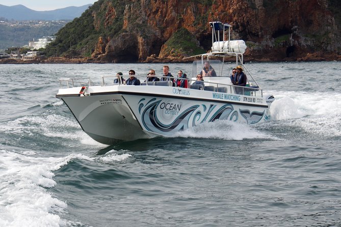 Whale Watching Knysna - Close Encounter Experience Ocean Odyssey - Who this tour suits best, and who should skip it