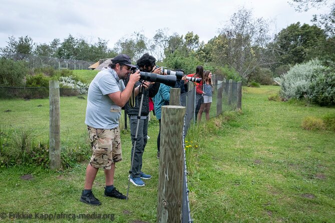 Wild Cat Experience Tour - Tenikwa’s Wild Cat Tour: why it clicks on the Garden Route