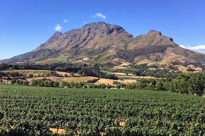 Wine tasting - Boutique farms - Key highlights at a glance