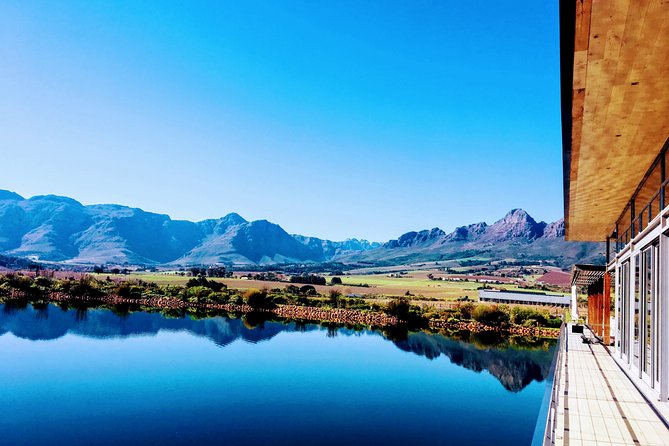 Wine tasting - Boutique farms - The guides: Tingo, Sungani, Gavin, and the VIP energy