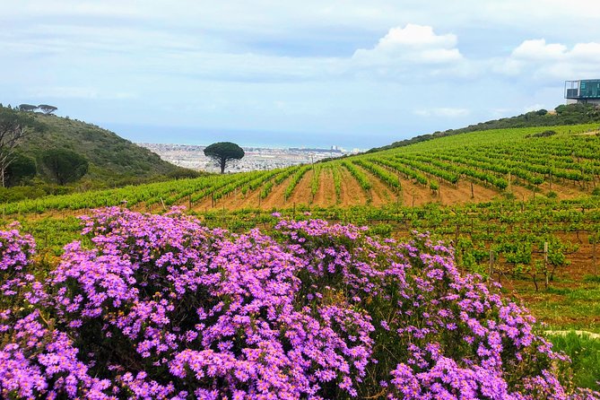 Wine tasting - Boutique farms - Food pairings that turn wine into a full experience