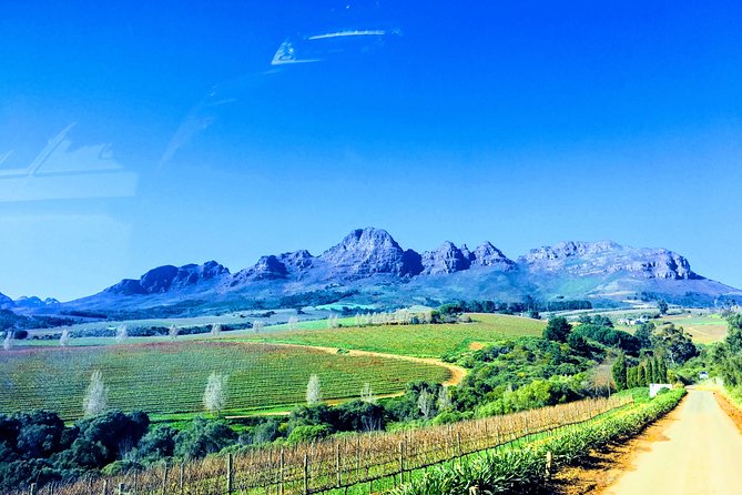 Wine tasting - Boutique farms - Weather, timing, and the little choices that make it fun
