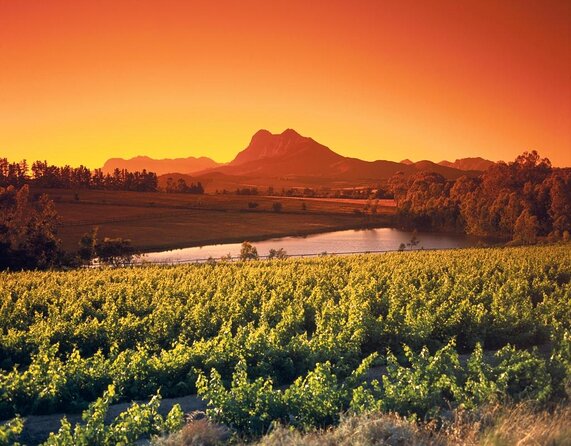 Wine Tour: Paarl, Franschhoek & Stellenbosch incl 3 wineries - Franschhoek wine tasting during lunch time