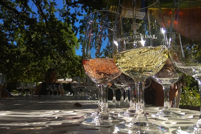 Wine Tour to Stellenbosch & Franschhoek with Tastings & Lunch - Key highlights to know before you go