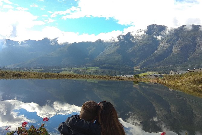 Wine Tour to Stellenbosch & Franschhoek with Tastings & Lunch - Price and value: paying for transport, access, and pacing