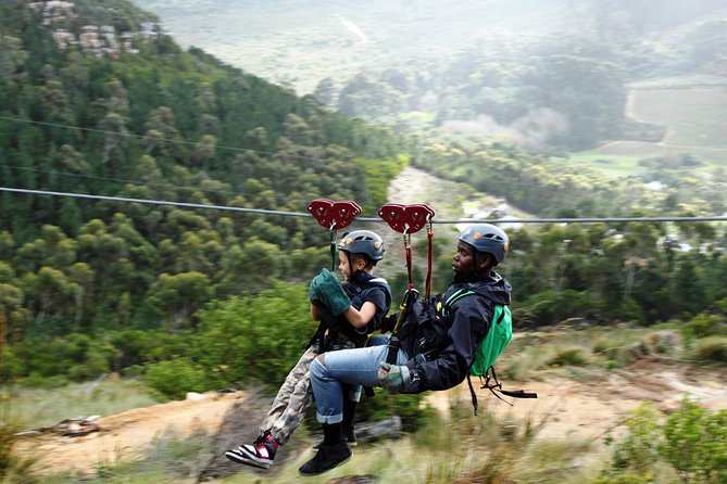 Zipline Cape Town - From Foot of Table Mountain Reserve - Key things to know before you go